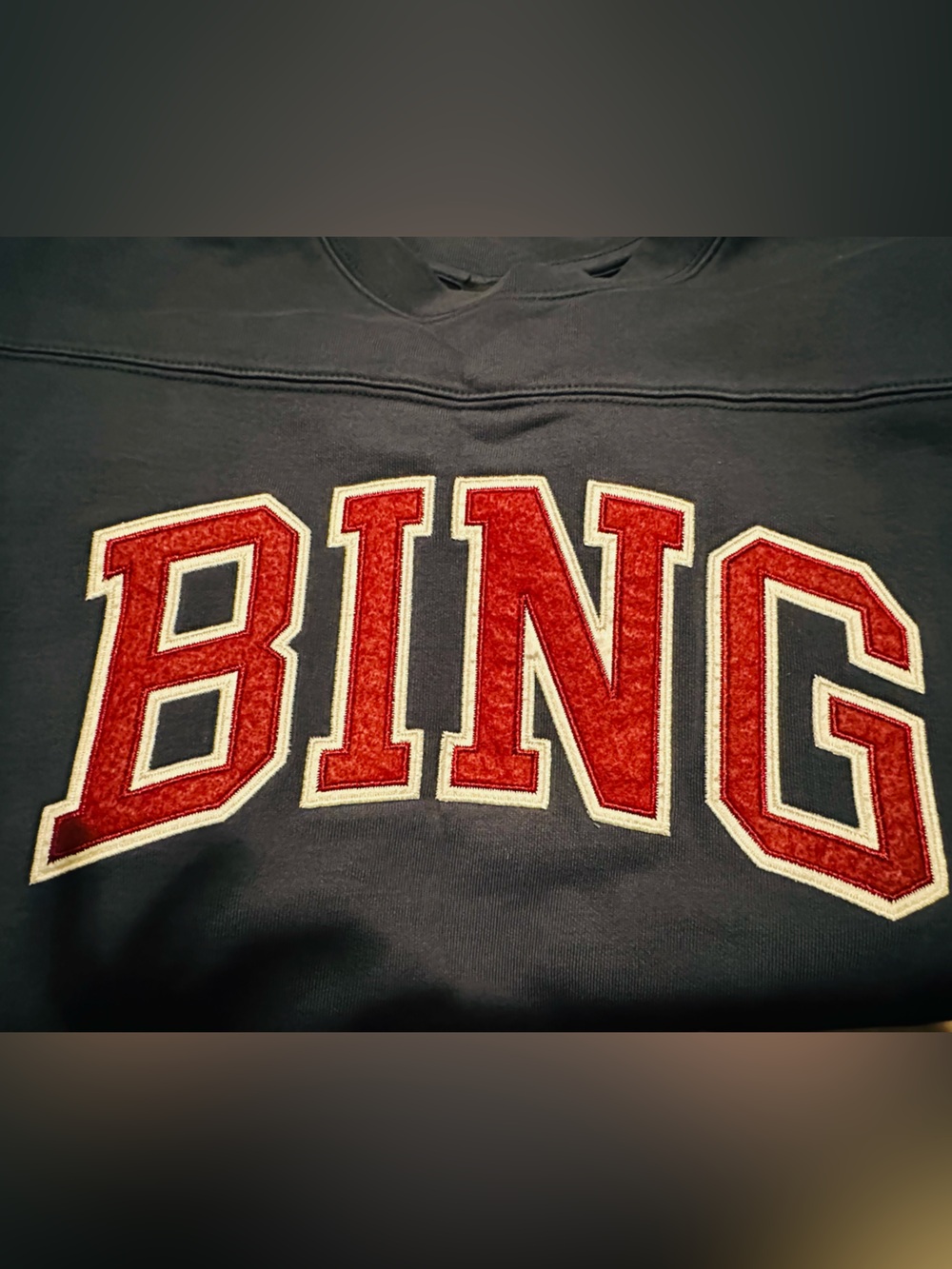 Anine Bing | Sweatshirt | Anine Bing Trenton Sweatshirt - Picture 5 of 10